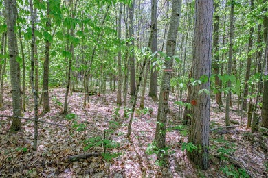 Opportunities abound with this lovely 15.8-acre parcel with over - photo 28