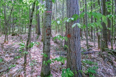Opportunities abound with this lovely 15.8-acre parcel with over - photo 29