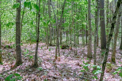 Opportunities abound with this lovely 15.8-acre parcel with over - photo 30