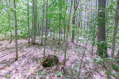 Opportunities abound with this lovely 15.8-acre parcel with over - photo 31