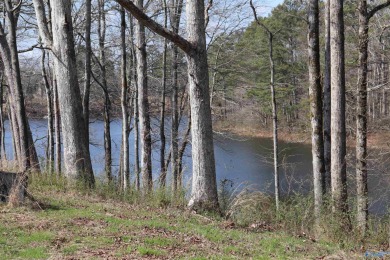 Lake Acreage For Sale in Cullman, Alabama