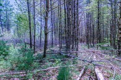 Opportunities abound with this lovely 15.8-acre parcel with over - photo 33
