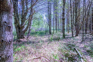 Opportunities abound with this lovely 15.8-acre parcel with over - photo 34