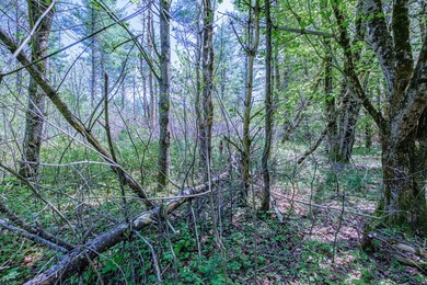 Opportunities abound with this lovely 15.8-acre parcel with over - photo 35