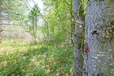 Opportunities abound with this lovely 15.8-acre parcel with over - photo 36