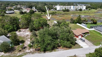 Lake Lot For Sale in Spring Hill, Florida
