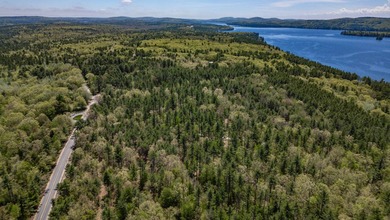 Opportunities abound with this lovely 15.8-acre parcel with over - photo 43