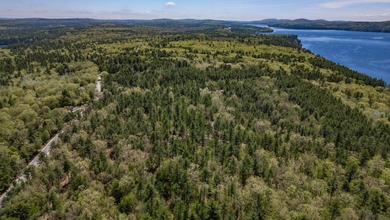Opportunities abound with this lovely 15.8-acre parcel with over - photo 44