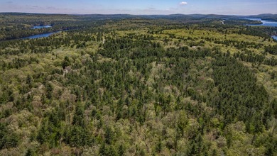 Opportunities abound with this lovely 15.8-acre parcel with over - photo 45