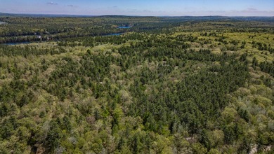 Opportunities abound with this lovely 15.8-acre parcel with over - photo 47