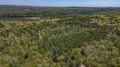 Opportunities abound with this lovely 15.8-acre parcel with over - photo 49