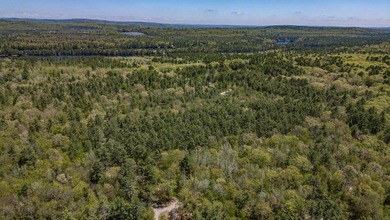 Opportunities abound with this lovely 15.8-acre parcel with over - photo 50