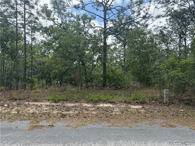 This vacant home site in Sugarmill Woods Cypress Village offers - photo 1