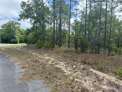 This vacant home site in Sugarmill Woods Cypress Village offers - photo 3