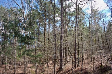 Over 1 Acre Lot across the street from Lake Oconee in Northwoods - photo 4