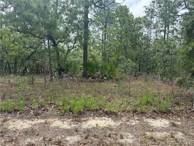 This vacant home site in Sugarmill Woods Cypress Village offers - photo 4