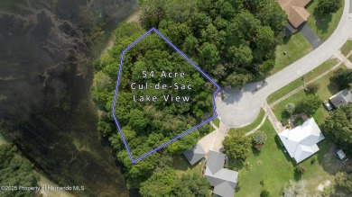 Lake Lot For Sale in Spring Hill, Florida