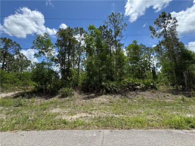 Lake Lot For Sale in Lehigh Acres, Florida