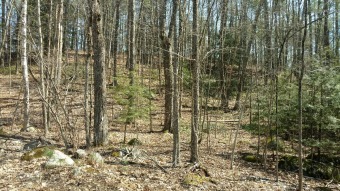Lake Lot Off Market in Amherst, New Hampshire