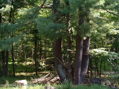 (private lake, pond, coastal) Acreage For Sale in Hudson New York