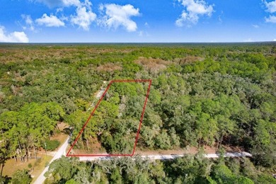 Withlacoochee River Lot For Sale in Webster Florida