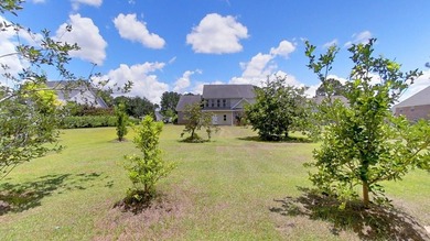 Welcome to 107 Andee Way in desirable Sweetbrier Lake! This - photo 10