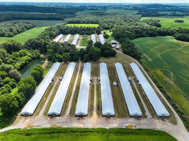 (private lake, pond, creek) Commercial For Sale in Calhoun Kentucky