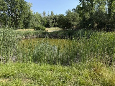 (private lake, pond, creek) Lot For Sale in Redding California