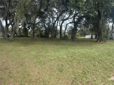 Lake Lot For Sale in Lakeland, Florida