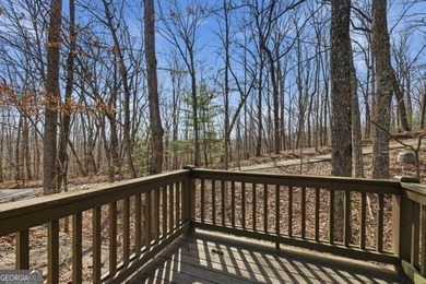 Welcome to your North Georgia mountain escape at 318 Wilmot - photo 37