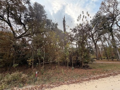 Suwannee River Lot For Sale in Branford Florida