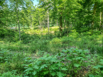 Norris Lake Lot Sale Pending in Sharps Chapel Tennessee
