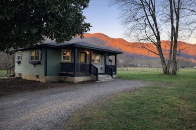 (private lake, pond, coastal) Home For Sale in Hayesville North Carolina