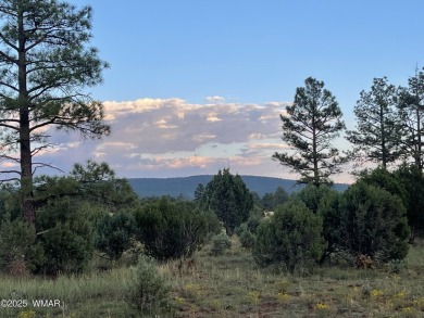 Lake Lot For Sale in Lakeside, Arizona