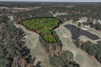 For the first time, this 11.56 acre tract of land in Mount - photo 4