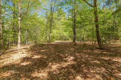 LOCATION, LOCATION, LOCATION!!! Tucked away in a peaceful - photo 5