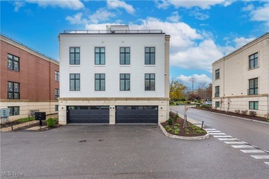 Nestled along the shores of Lake Erie in the exclusive 700 Lake - photo 42