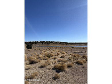 Lake Lot For Sale in Concho, Arizona