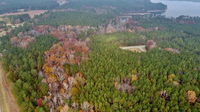 Build your ideal lake-area retreat on this spacious 2.02-acre - photo 2