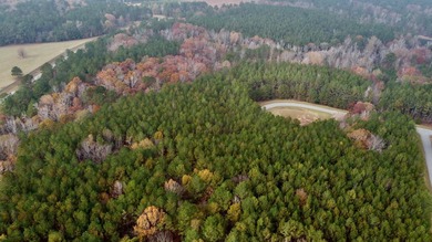 Build your ideal lake-area retreat on this spacious 2.02-acre - photo 3