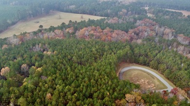 Build your ideal lake-area retreat on this spacious 2.02-acre - photo 4