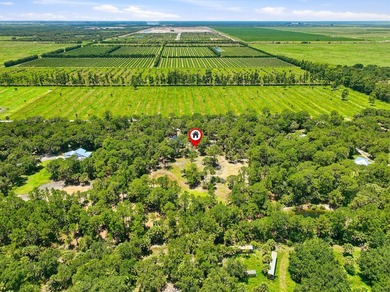 Build your dream oasis on this private, gated 6+ acre heavily - photo 2