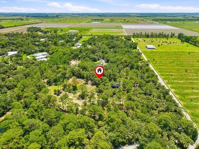 Build your dream oasis on this private, gated 6+ acre heavily - photo 4