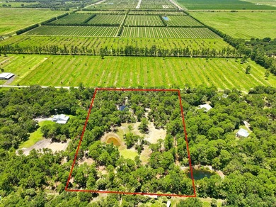 Build your dream oasis on this private, gated 6+ acre heavily - photo 7