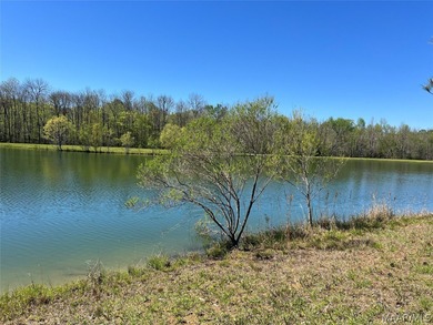 (private lake, pond, coastal) Acreage For Sale in Mathews Alabama