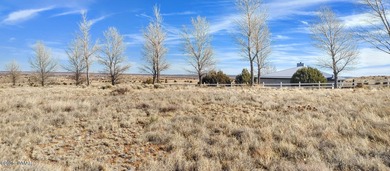 Lake Lot For Sale in Taylor, Arizona