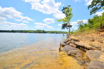 Lewis Smith Lake Lot For Sale in Arley Alabama