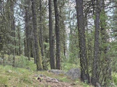 Lake Acreage For Sale in High Valley, Idaho