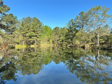 (private lake, pond, creek) Acreage For Sale in Cecil Alabama