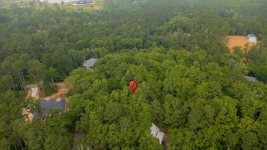 Tucked away on a quiet street in the gated community of Hideaway - photo 2